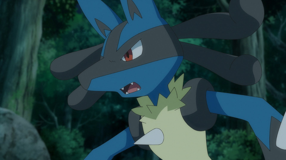 ポケットモンスター 第101話～第147話 第108話 ルカリオとゲッコウガ！運命の波導！！